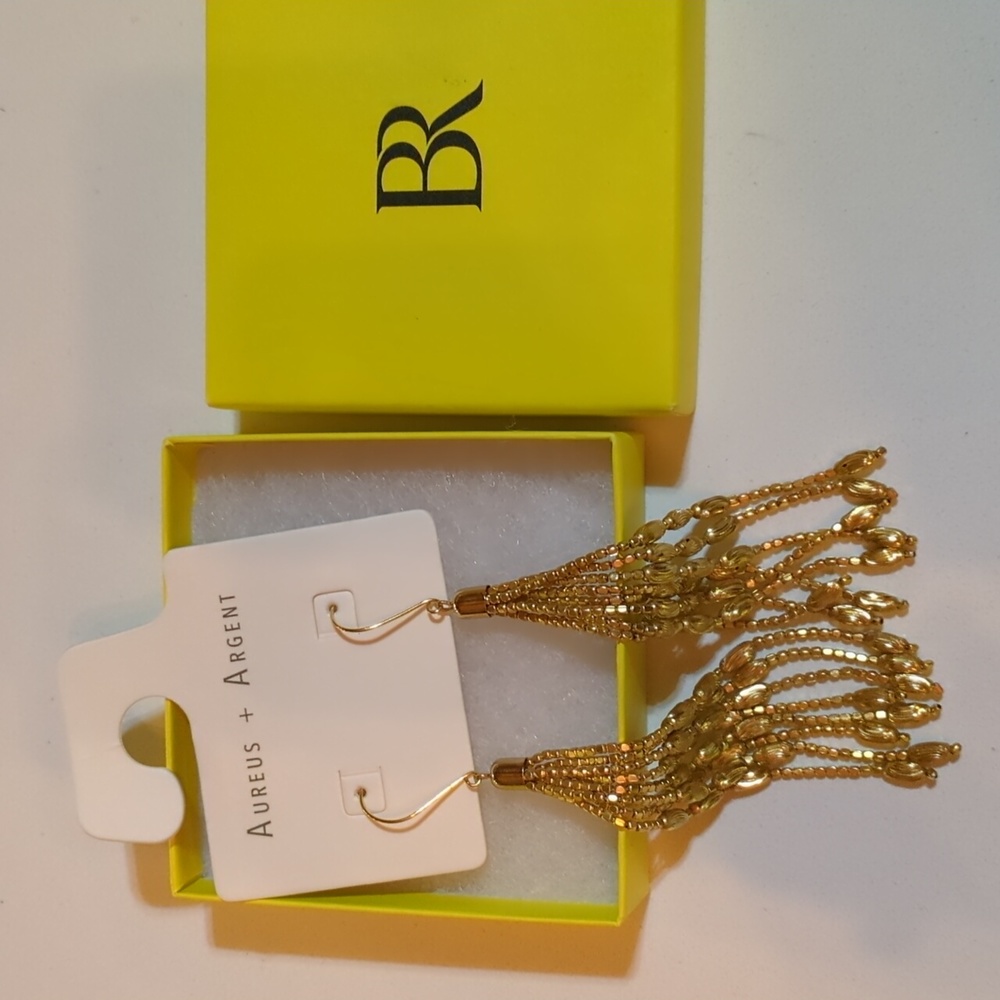 Banana Republic Golden Pod Earrings